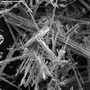 asbestosfiber