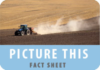 picture-this-dust-brochure