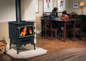 wood burning stove